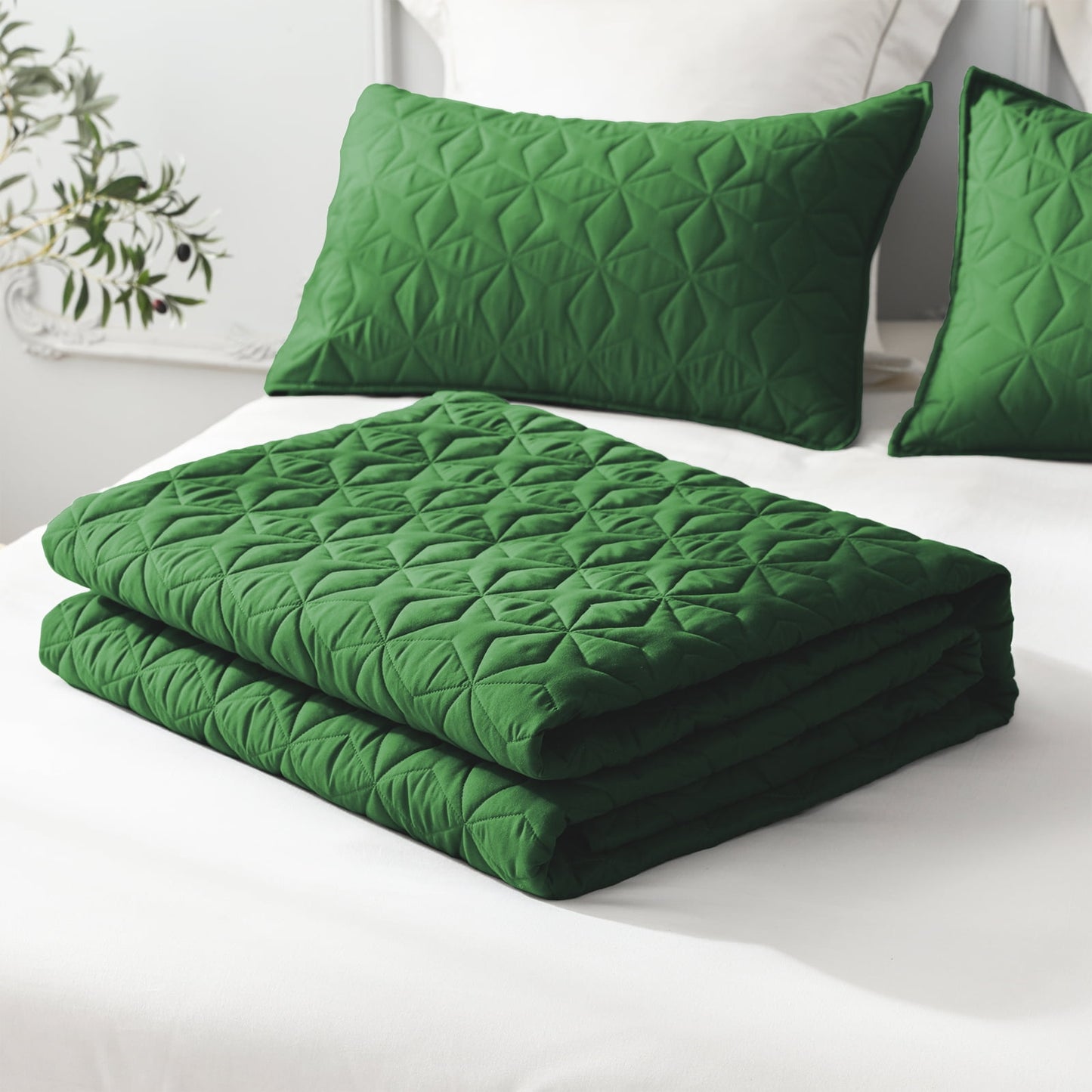 Whale Flotilla Quilt Set Twin Size, Soft Microfiber Lightweight Bedspread Coverlet Bed Cover (Star Pattern) for All Seasons, Green, 2 Pieces (Includes 1 Quilt, 1 Sham)?-