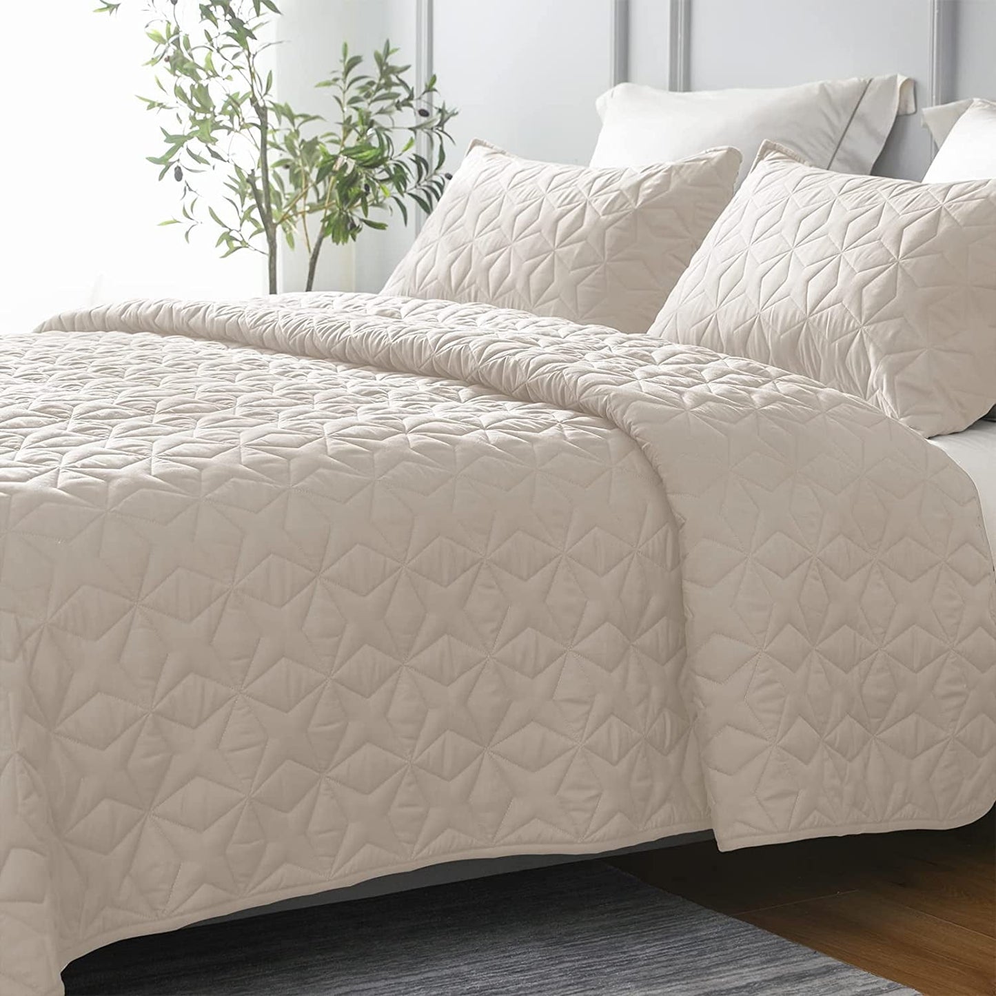 Whale Flotilla Quilt Set Queen Size, Soft Microfiber Lightweight Bedspread Coverlet Bed Cover (Star Pattern) for All Seasons, Brich Beige, 3 Pieces (Includes 1 Quilt, 2 Shams)