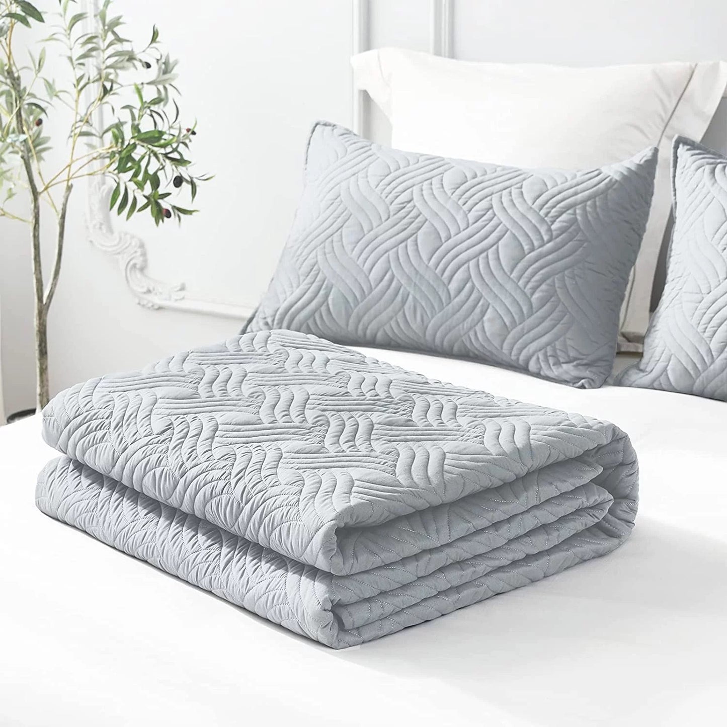 Whale Flotilla Quilt Set Queen Size, Soft Microfiber Lightweight Bedspread Coverlet Bed Cover (Wave Pattern) for All Seasons, Light Grey, 3 Pieces (Includes 1 Quilt, 2 Shams)
