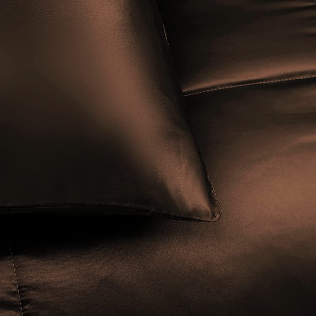 Whale Flotilla 3-Piece Reversible King Size Comforter Set/ Bedding Set, Soft Satin Comforter with 2 Satin Pillowcases, Lightweight Duvet Set for All Seasons, 90"X102", Brown