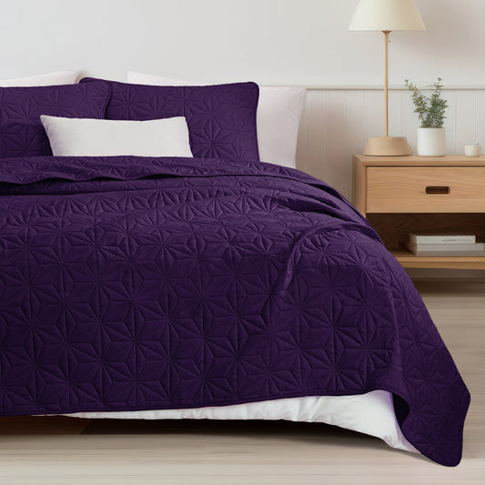Whale Flotilla Microfiber Queen Size 90"x 96" Quilt Set Lightweight Quilted Bedspreads Coverlets Set with Stars Pattern, Purple