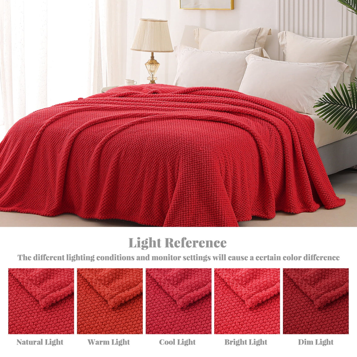 Whale Flotilla Twin Size Fuzzy Fleece Blanket, 60"x80" Fluffy Lightweight Soft Jacquard Bed Blankets for All Seasons, Warm and Cozy, Red