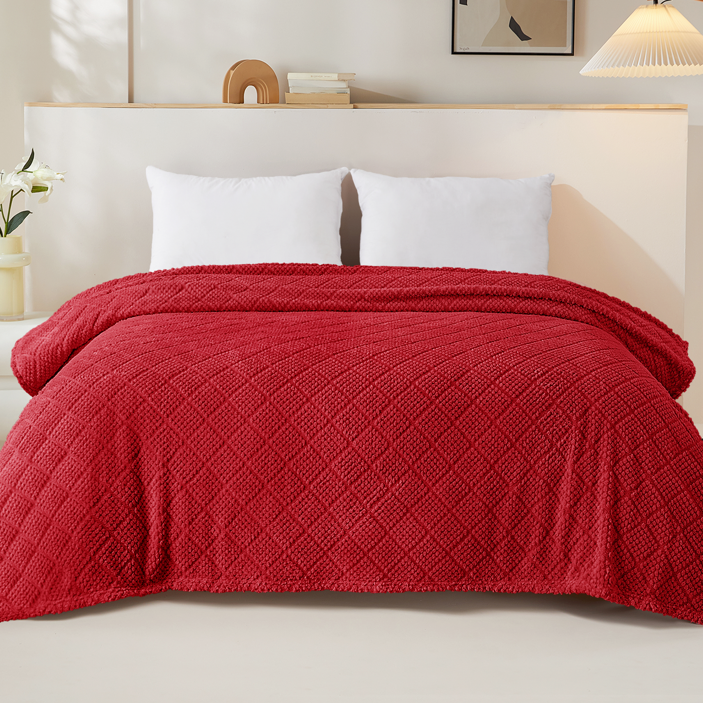 Whale Flotilla Fuzzy Fleece Twin Size Blanket for Bed, Soft Fluffy Jacquard Waffle Blankets for All Season, Lightweight and Warm, 60x80 Inch, Red